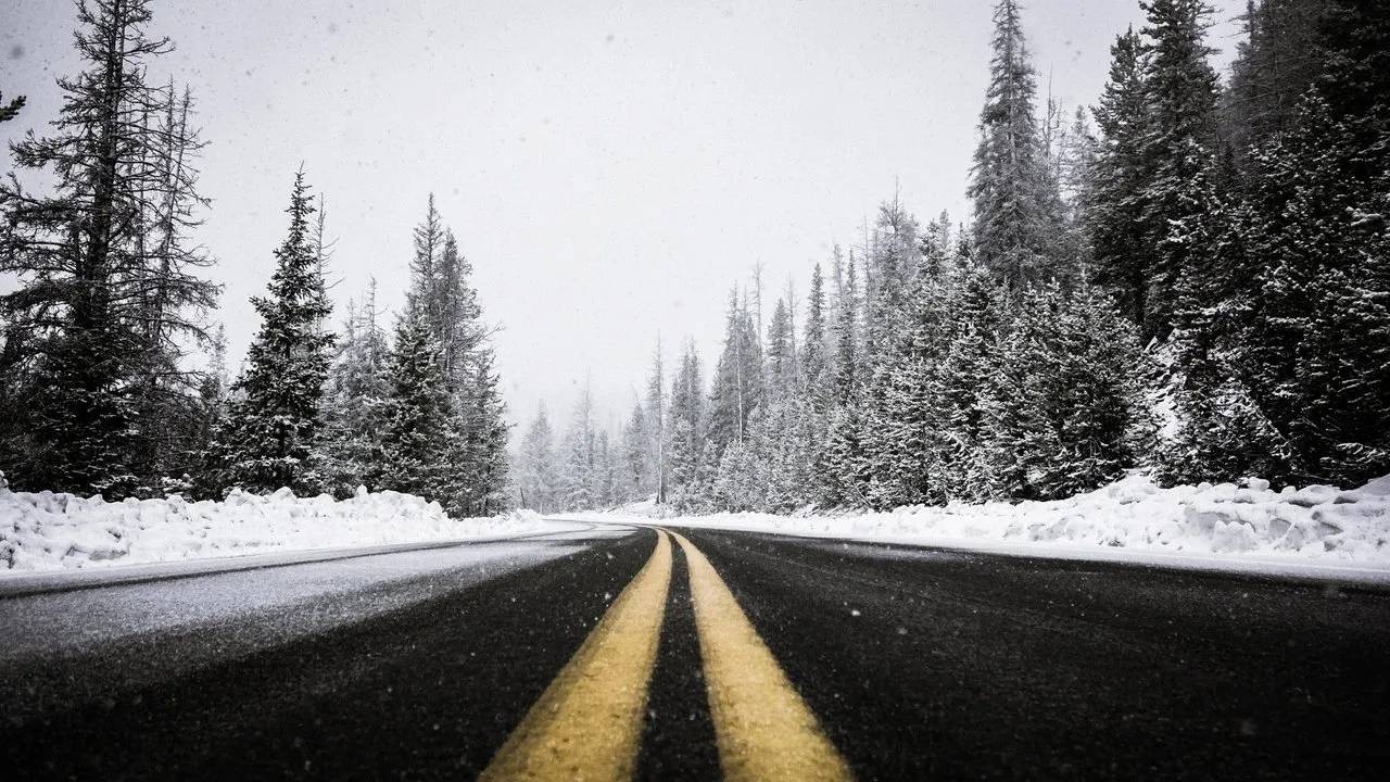 tree-forest-snow-cold-winter-black-and-white-146731-pxhere.com.jpg