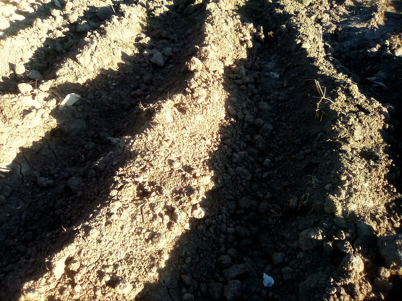 sombras de mono y de la arena,nubes zuquini 010.jpg