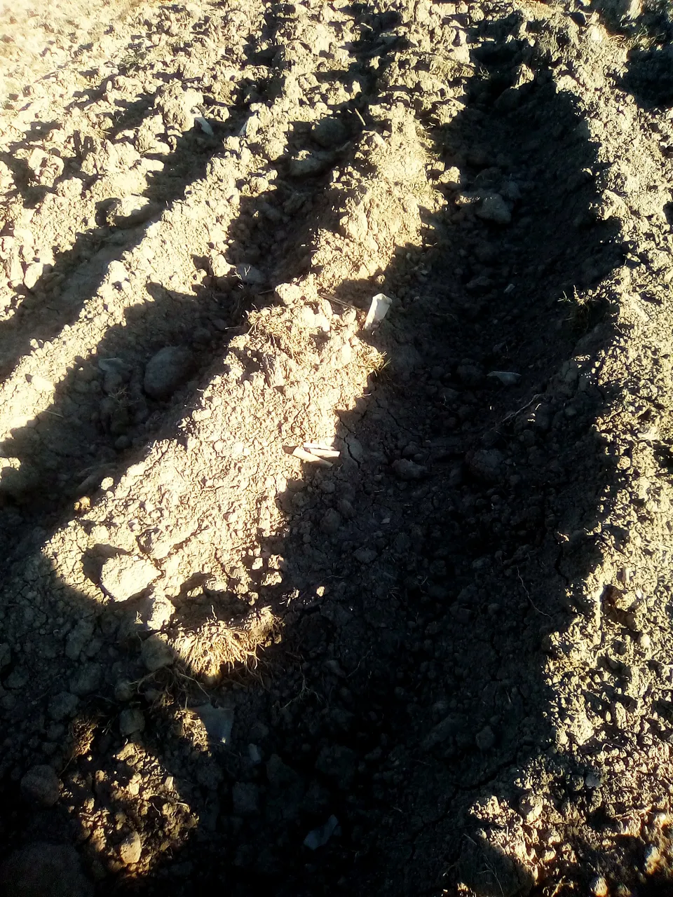 sombras de mono y de la arena,nubes zuquini 014.jpg