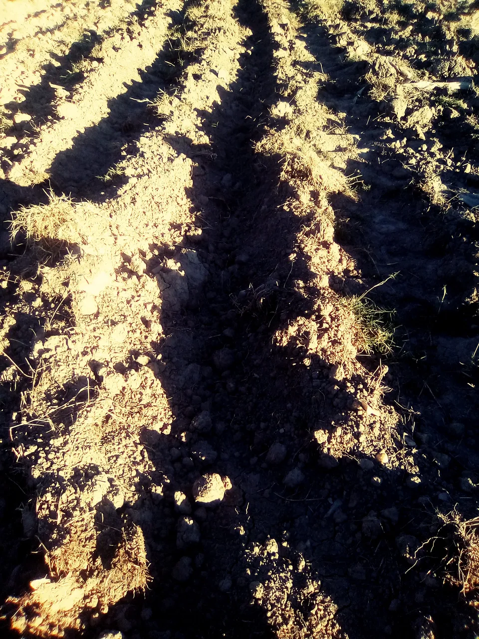 sombras de mono y de la arena,nubes zuquini 011.jpg