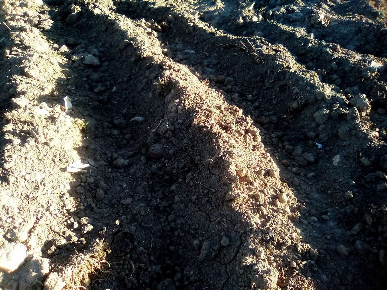 sombras de mono y de la arena,nubes zuquini 012.jpg