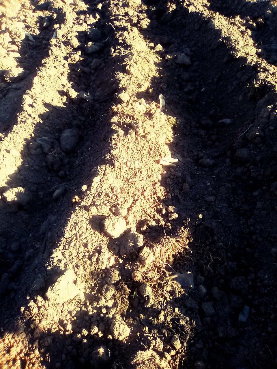 sombras de mono y de la arena,nubes zuquini 013.jpg
