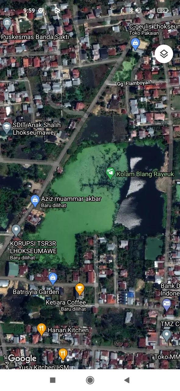 Screenshot_2021-04-11-09-59-12-652_com.google.android.apps.maps.jpg