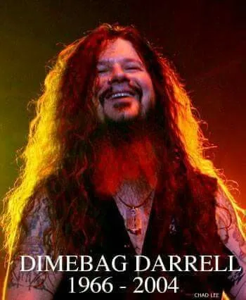 5bd9e3ac19369aad6851bce25236f282--groove-metal-dimebag-darrell.jpg