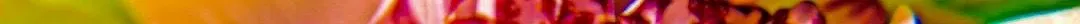 natural fractals - size reduced - bitcoinman (1).jpg