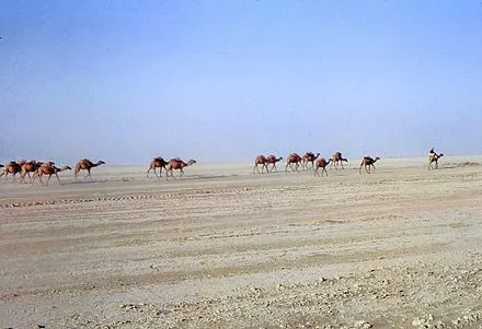 Caravane_dans_le_désert_du_Registan_(Afghanistan)_en_1969.jpg