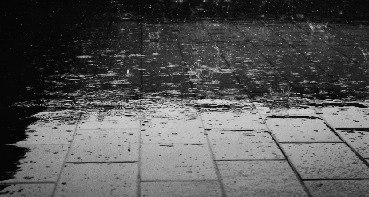 black_and_white_floor_pavement_rain_raindrops_wet-937180.jpg!d.jpg