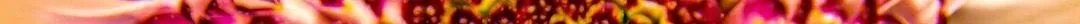natural fractals - size reduced - bitcoinman (4).jpg