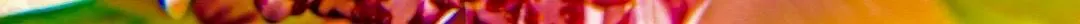 natural fractals - size reduced - bitcoinman (2).jpg