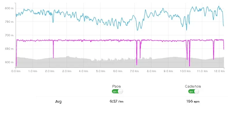 clvivxw1v0002mxszbhjb56k0_Screenshot_2024-04-27_at_21-47-47_Ms_cerca_de_los_15_km_Run_Strava.webp