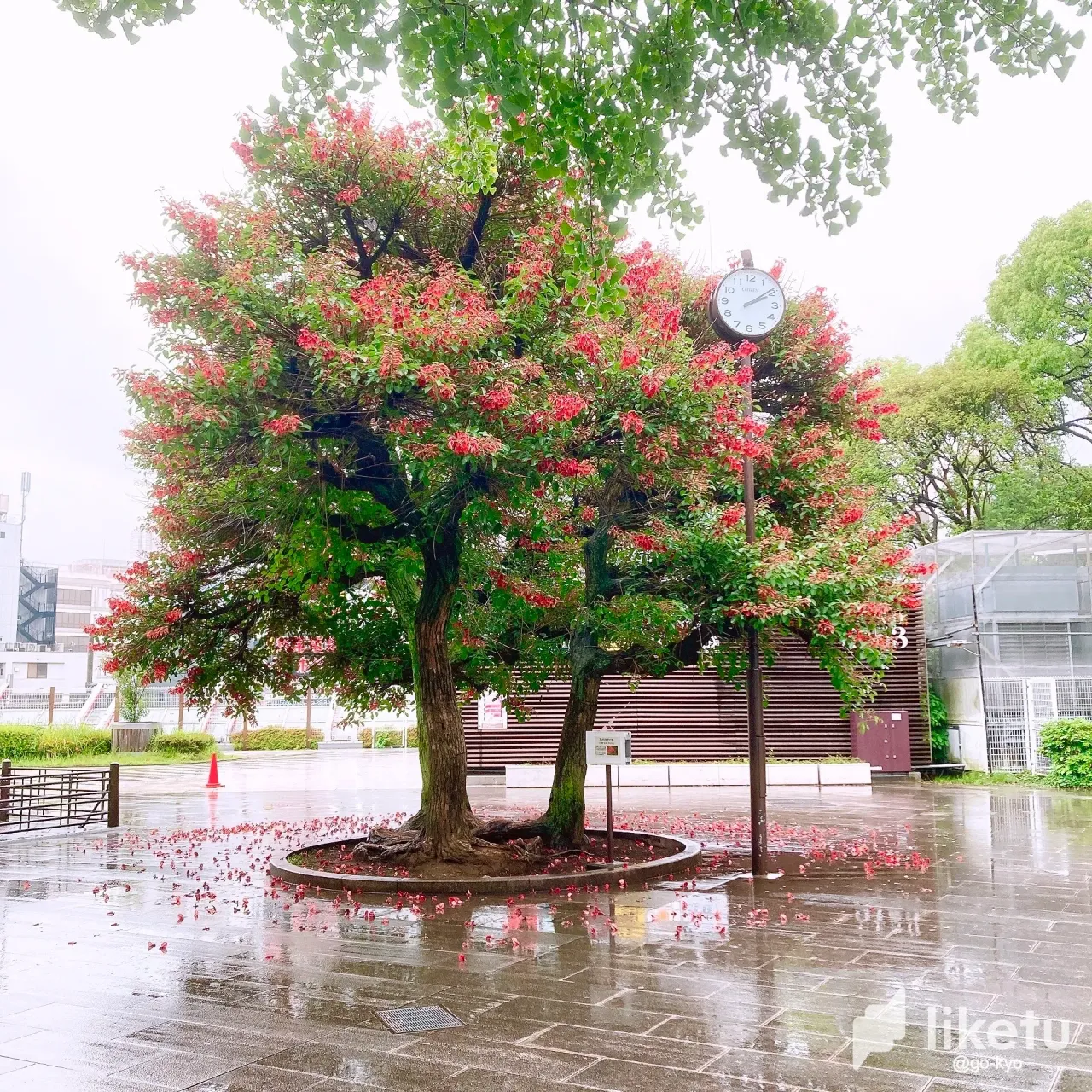 F0WsqeAqjyhGtbPA_IMG_1927.webp