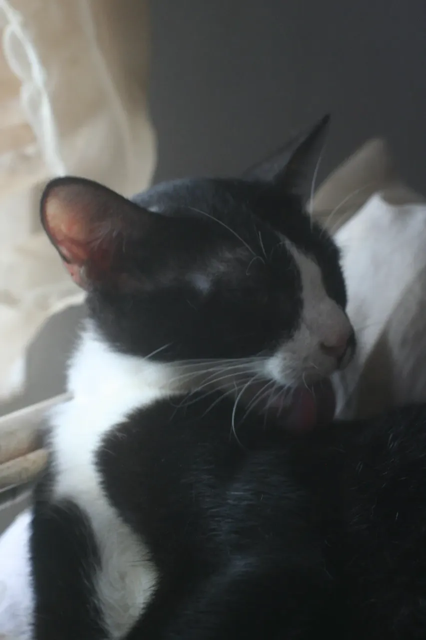 rZhKxHjXdo0uFg3o_IMG_9481.webp