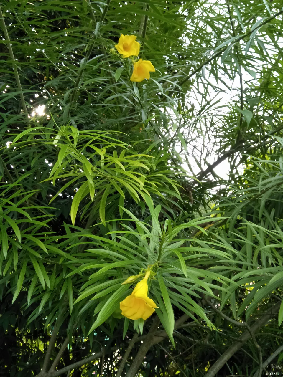 IMG20191019165131.jpg