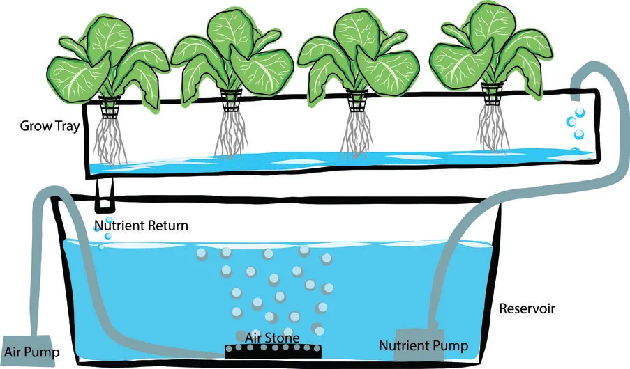 Aquaponics-system.jpg