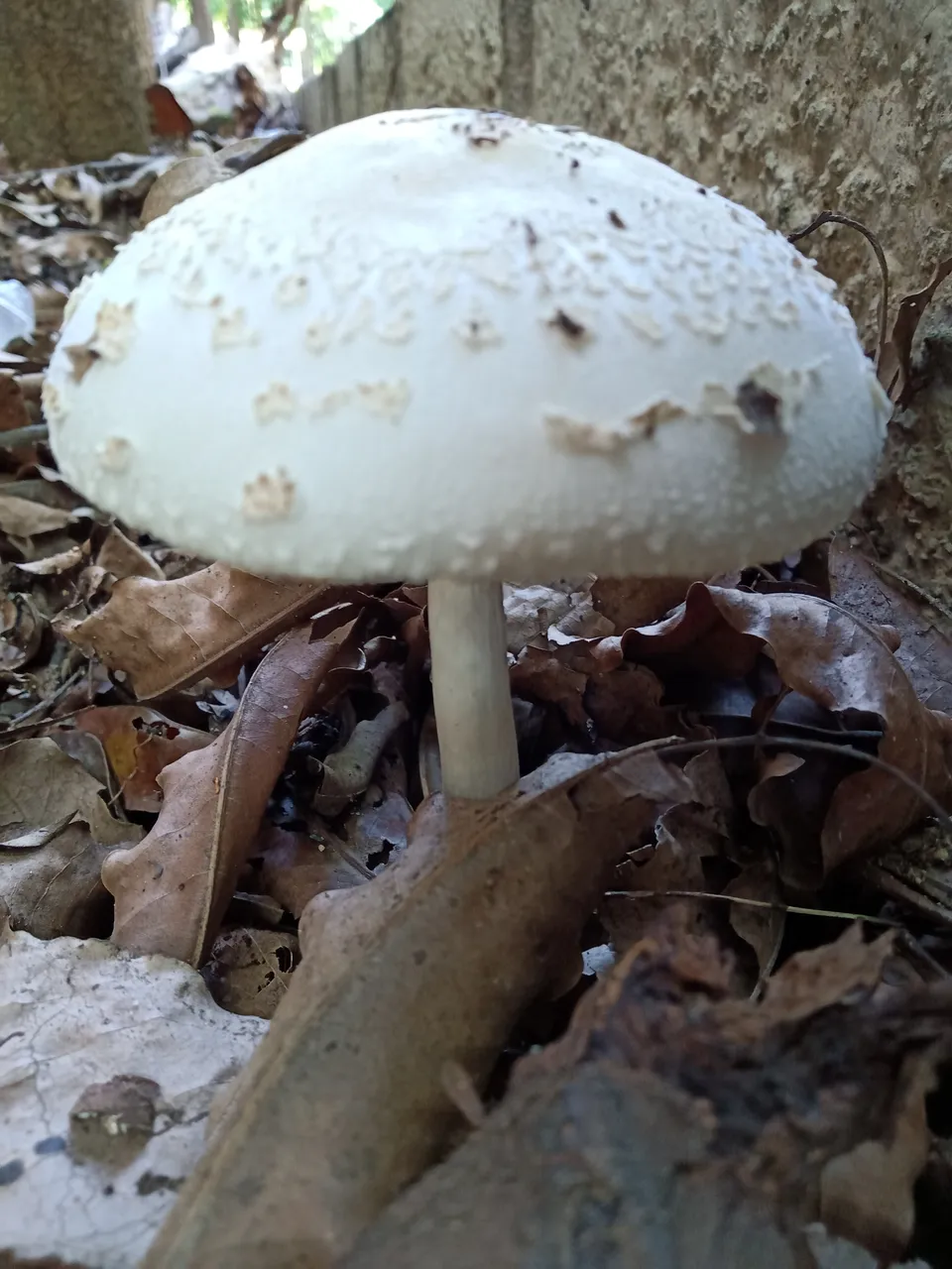 IMG20190930130547.jpg