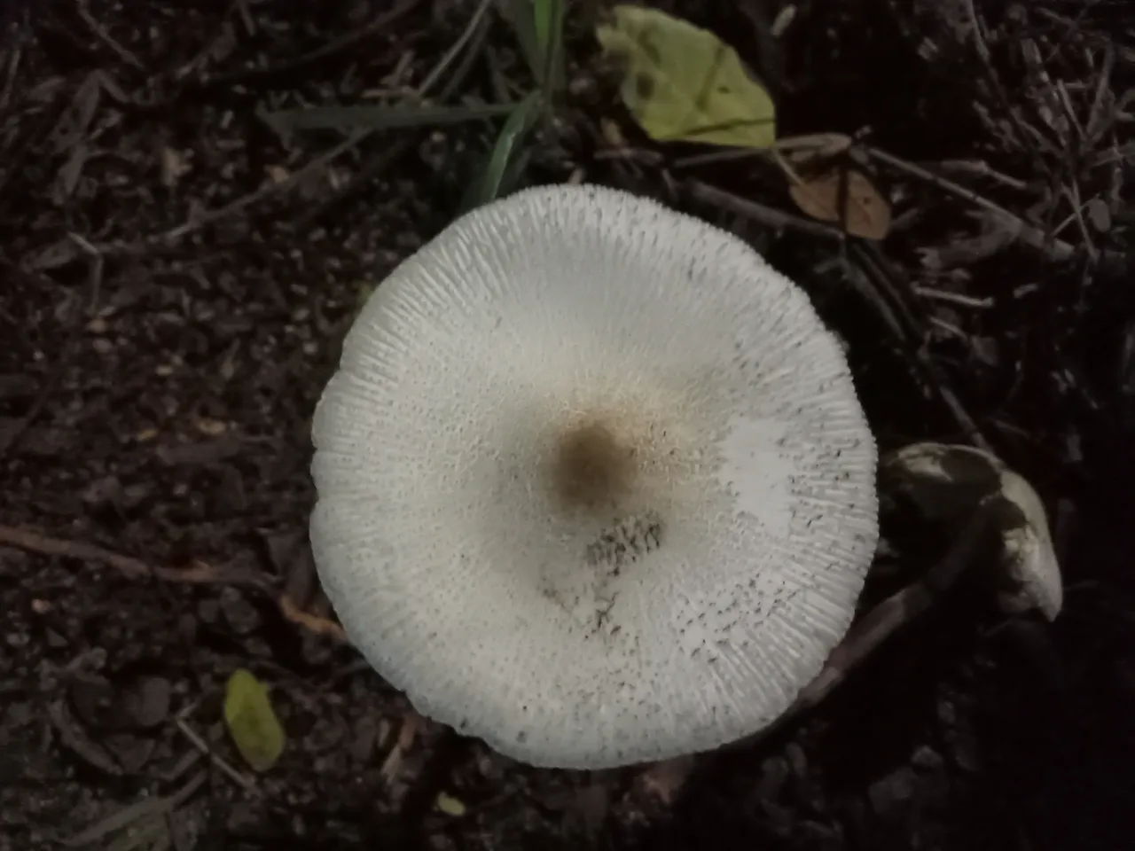 IMG20190926233319.jpg