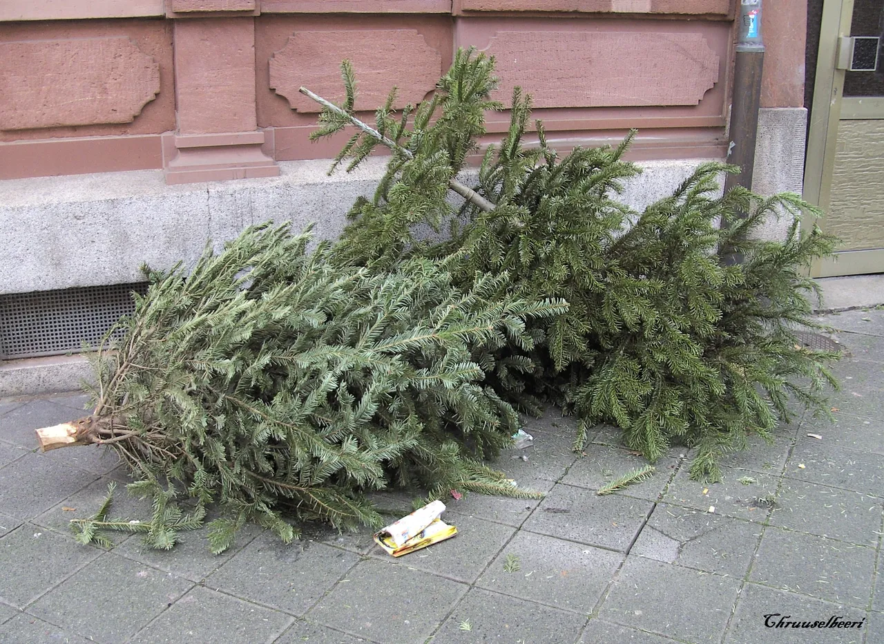 Weihnachtsbaum_09.jpg