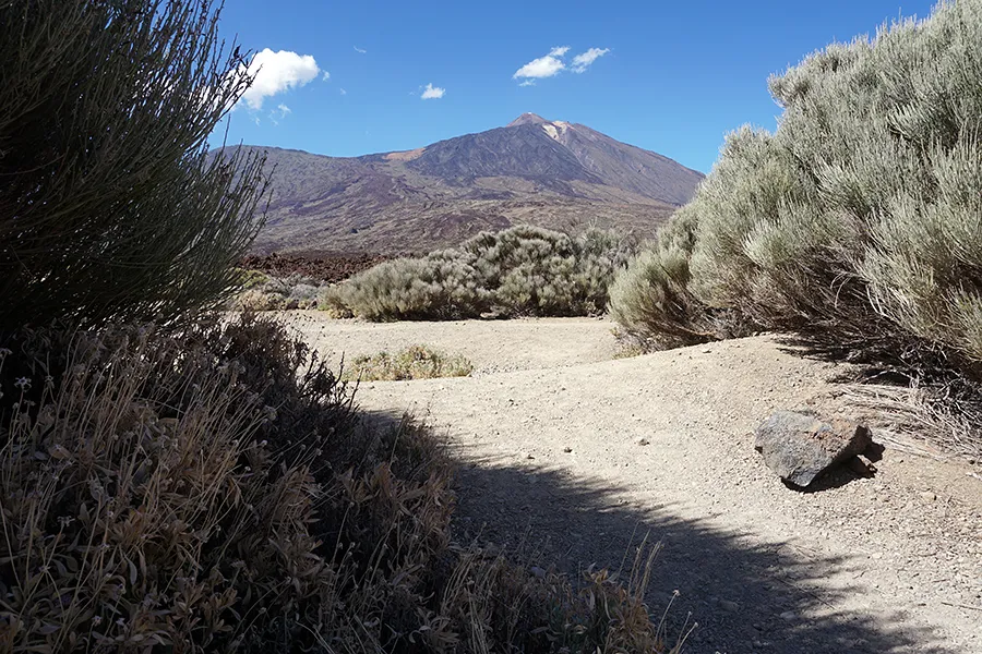 Mount_Teide_007_s.jpg