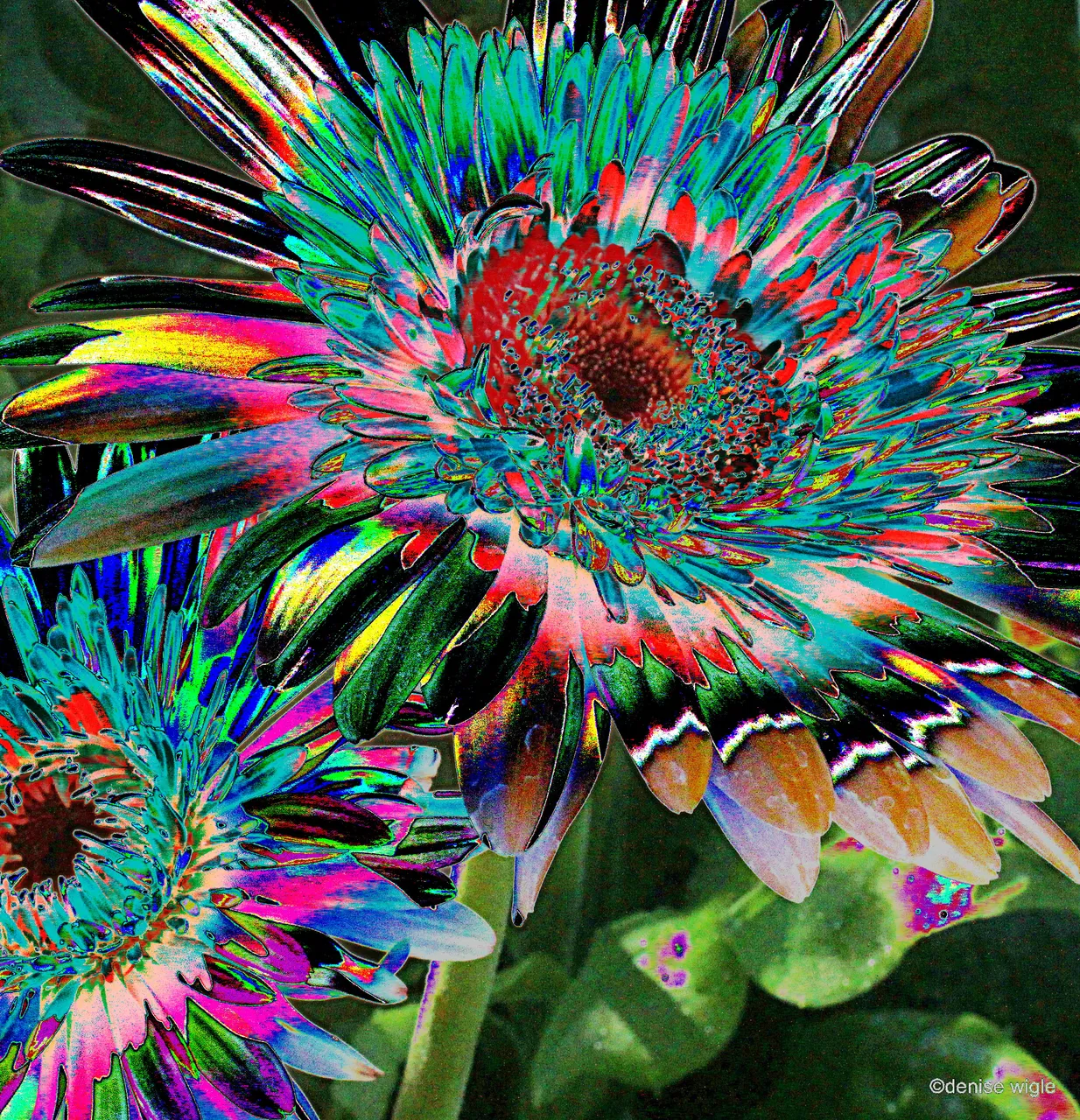 Trippy Thursday.JPG