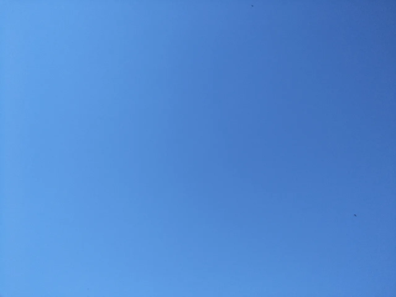 IMG20180601184833.jpg