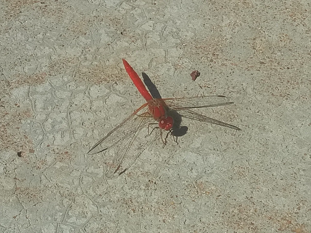 IMG20180320143311.jpg