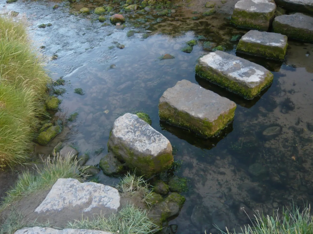 stepping-stones-2.jpg