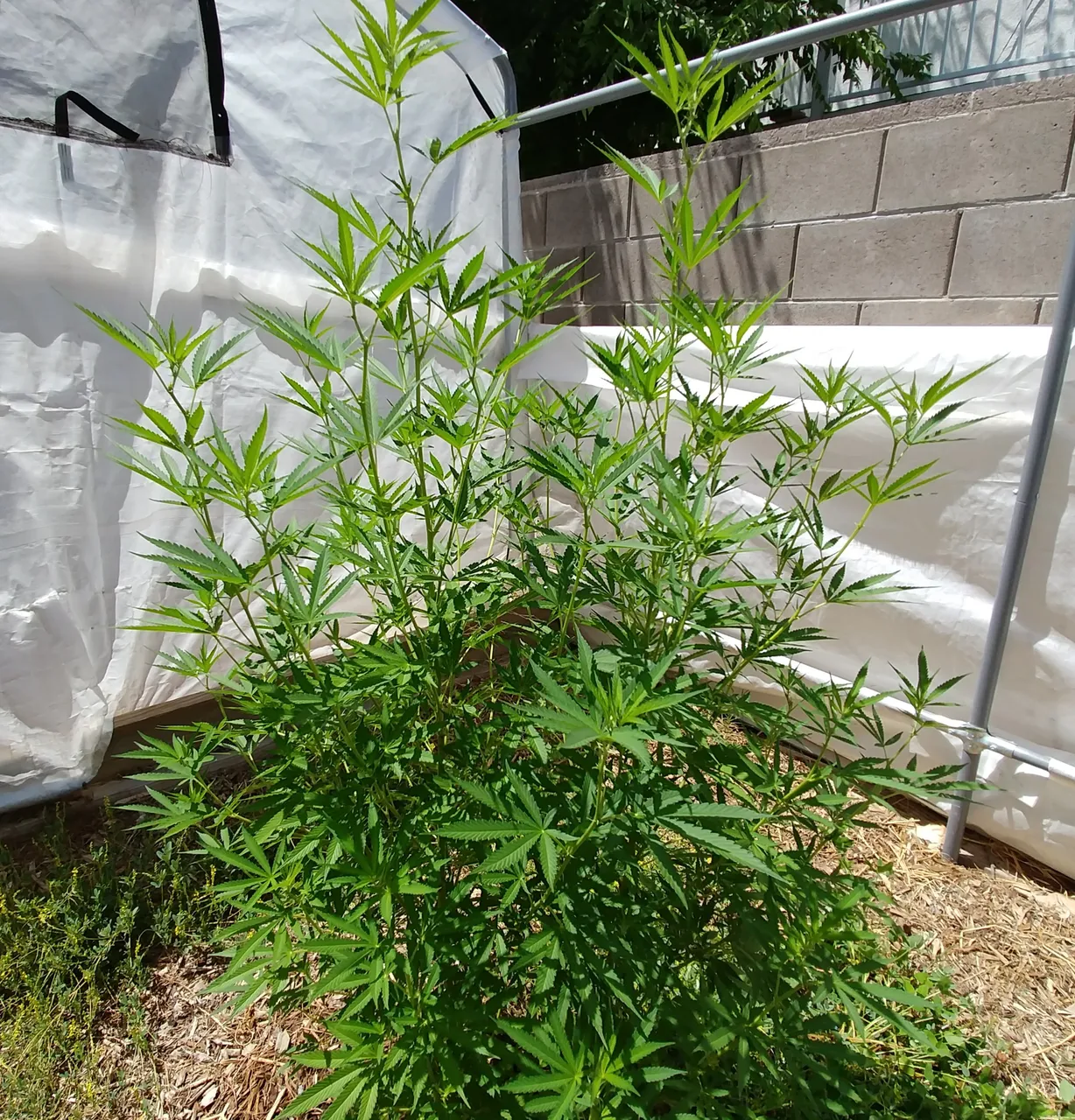 20180719_140146-1.jpg