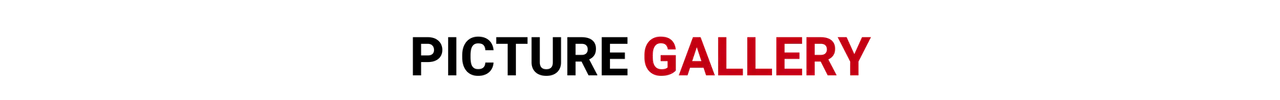 Picture Gallery.png