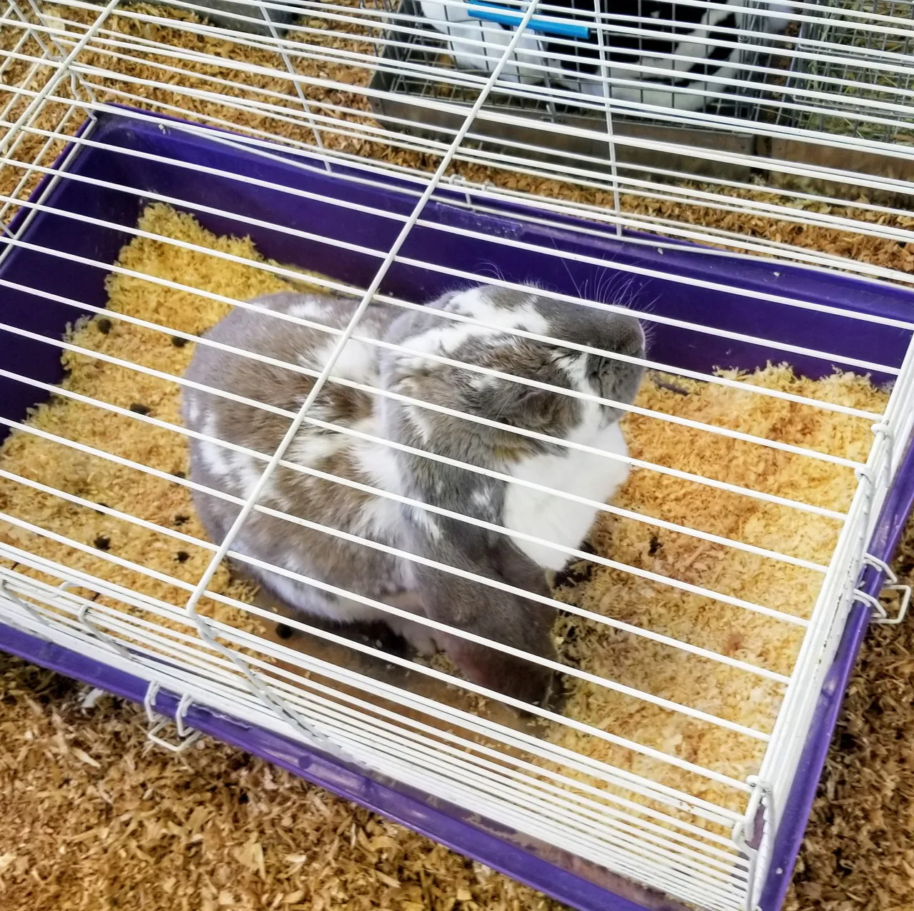 20181208_100434~2.jpg