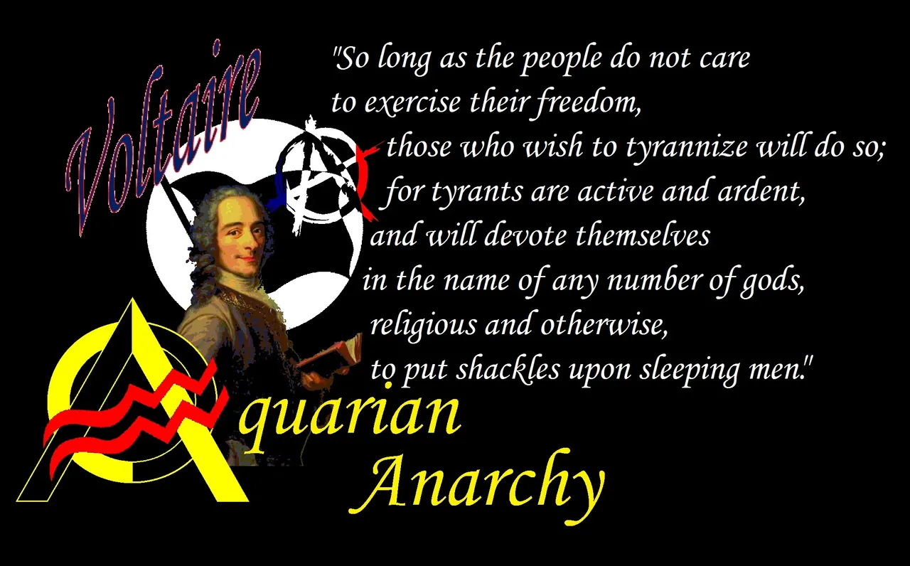 Voltaire shirt5.jpg