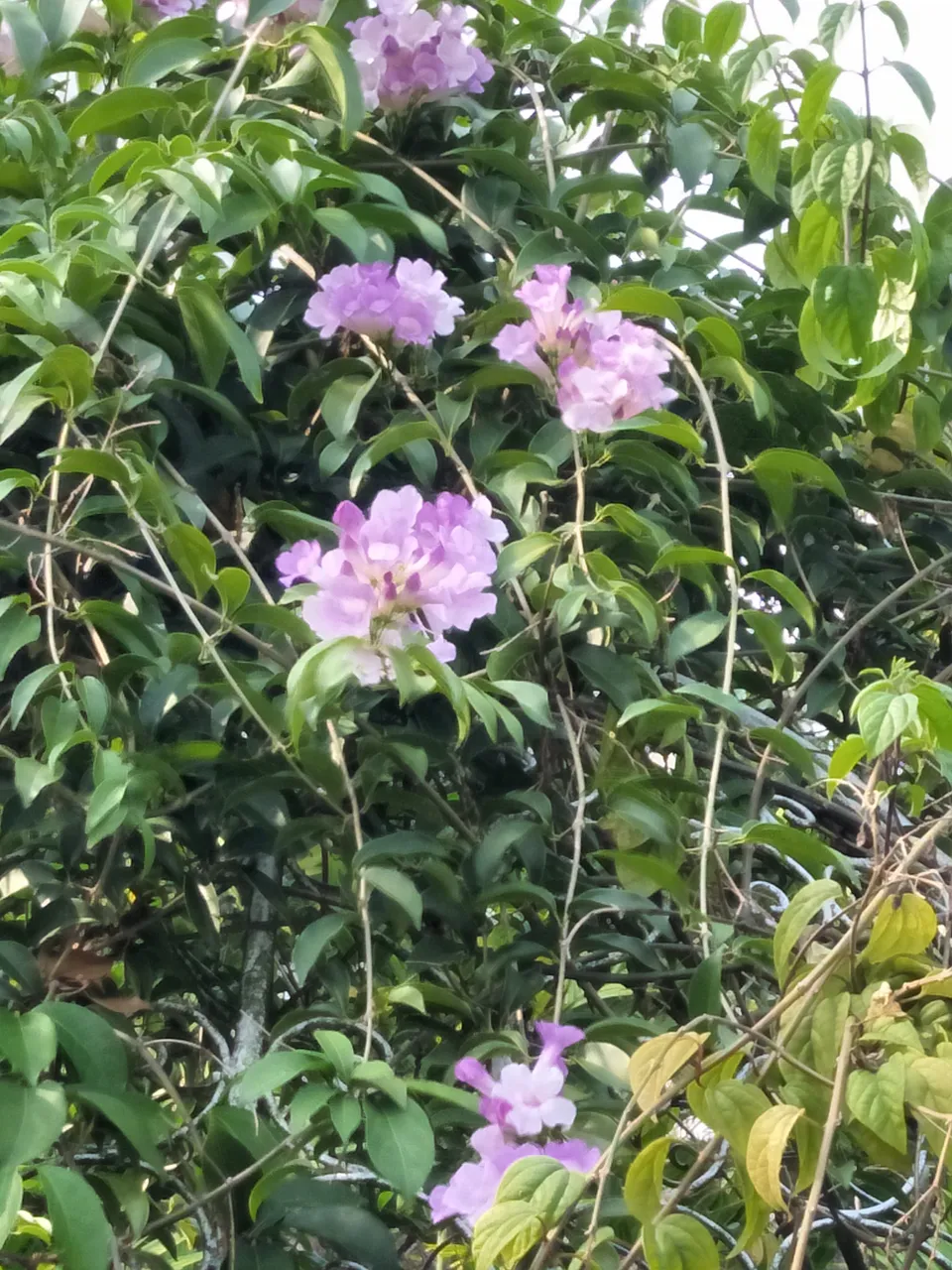 IMG20191019161051.jpg