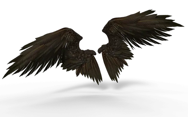 wings-3525077_640.png