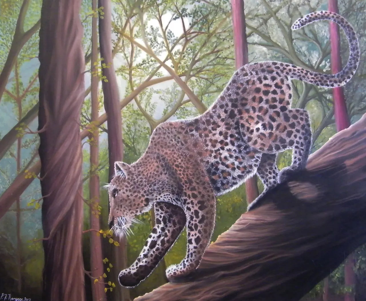34_AfricanLeopard.jpg