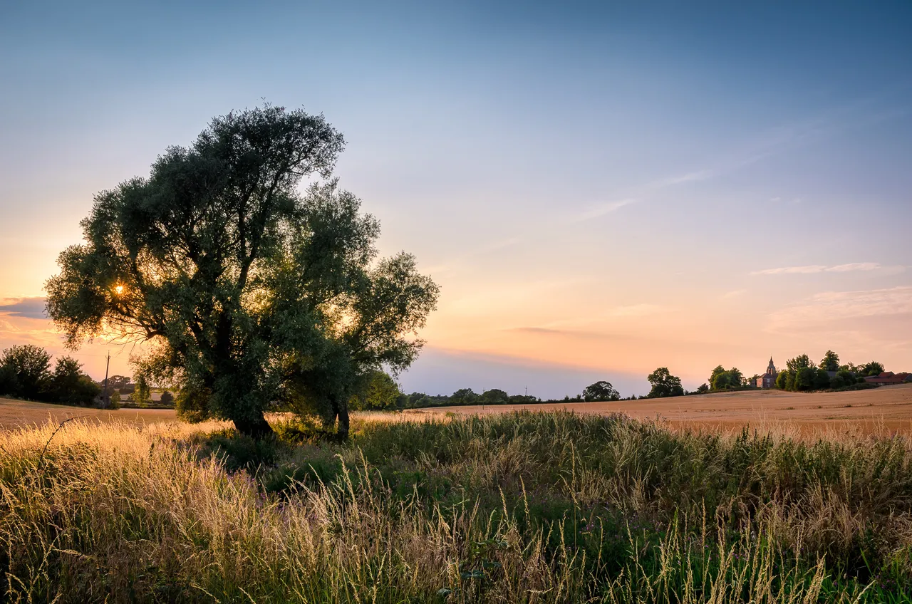 DSC_0924-HDR-Edit.jpg