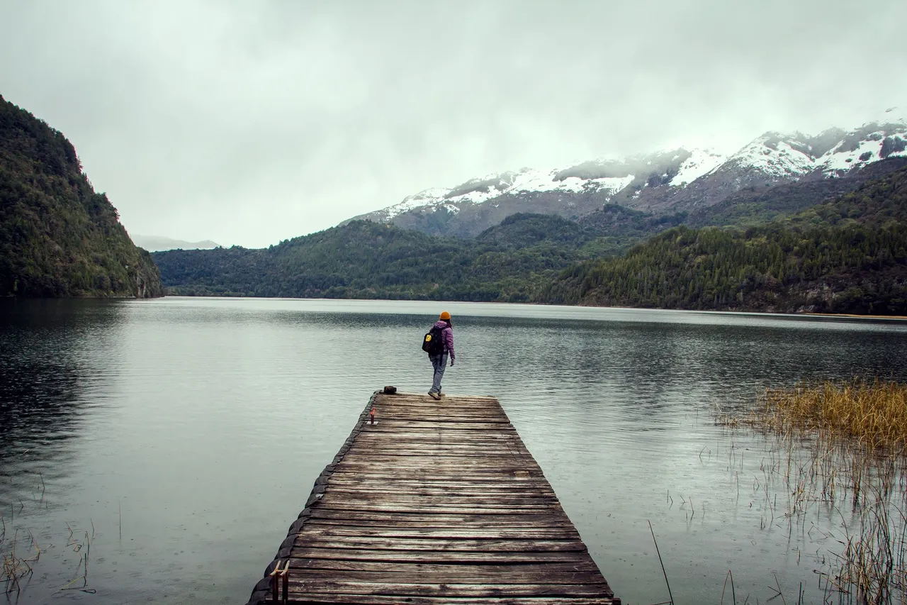 alerces-patagonia.jpg