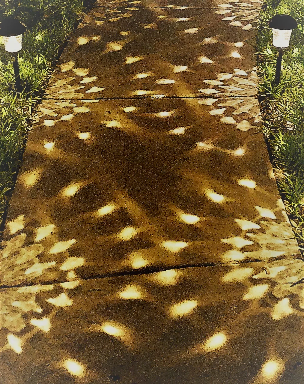 solarlights (3).jpg