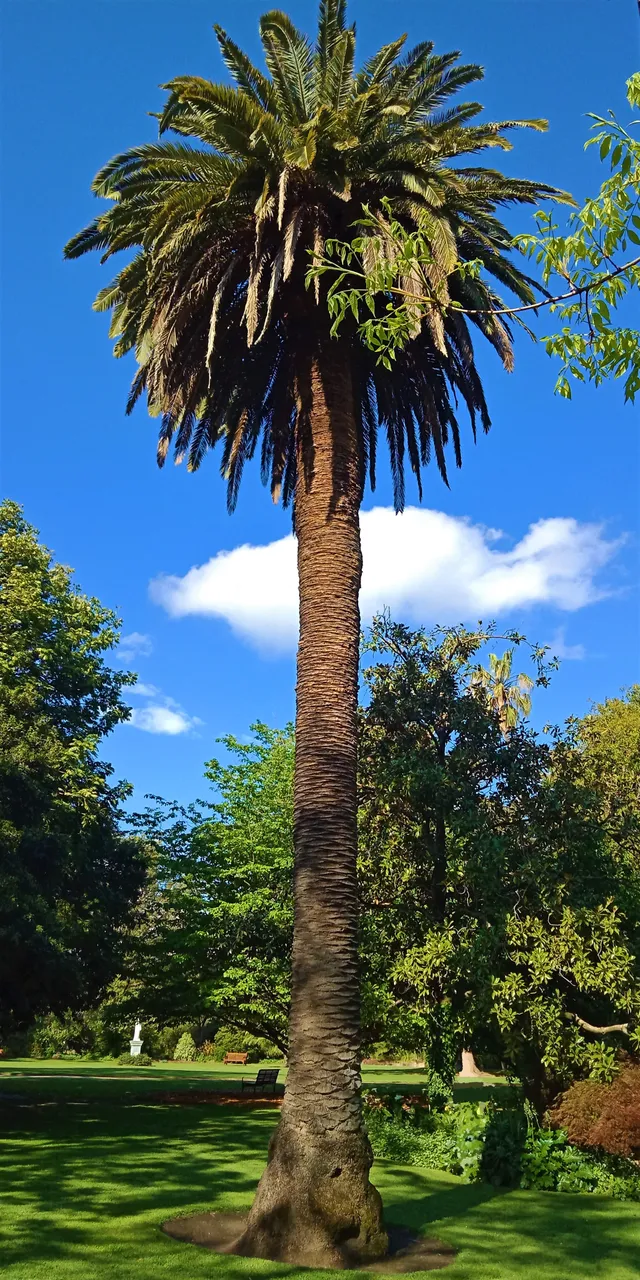 IMG20181017163705.jpg