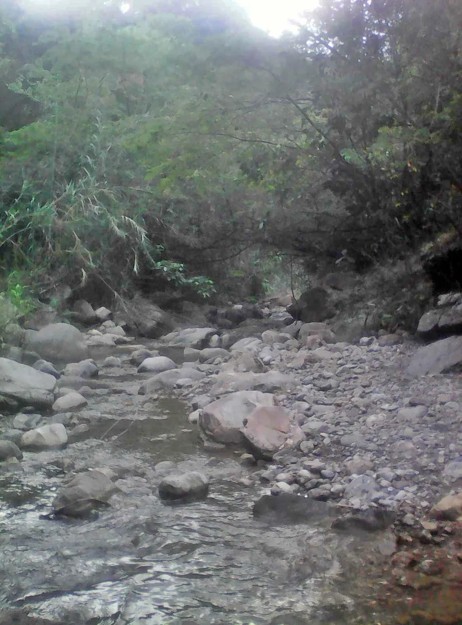 IMG20190107163558.jpg