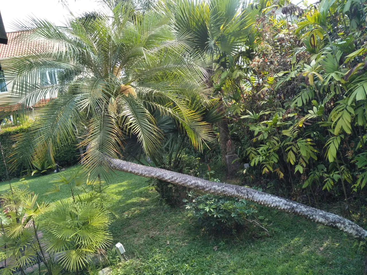 IMG20191019161130.jpg