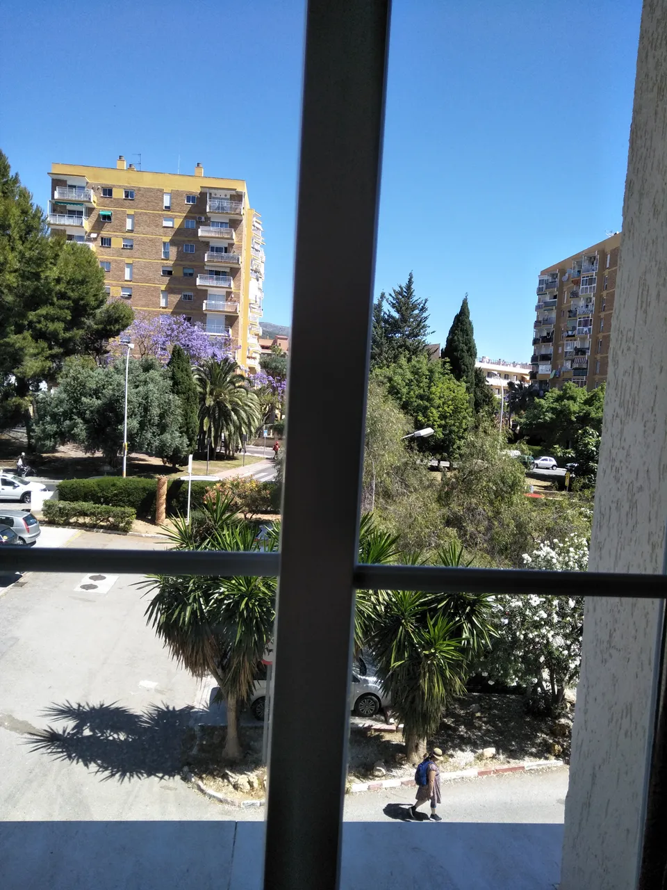 IMG20190531120530.jpg