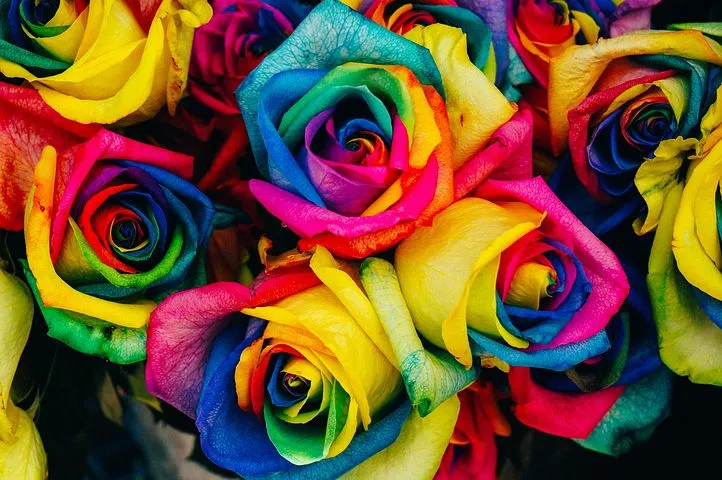 roses-828945__480.jpg
