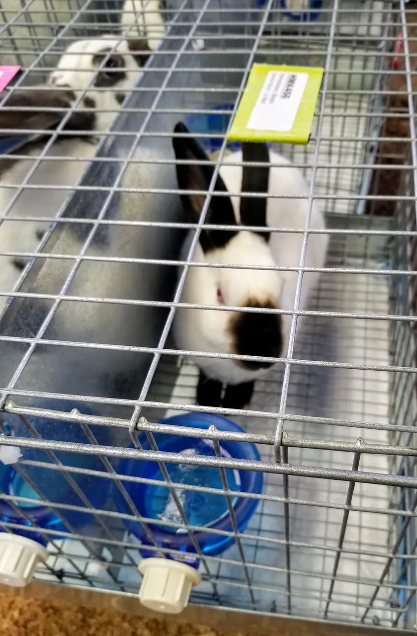 20181208_100220~2.jpg