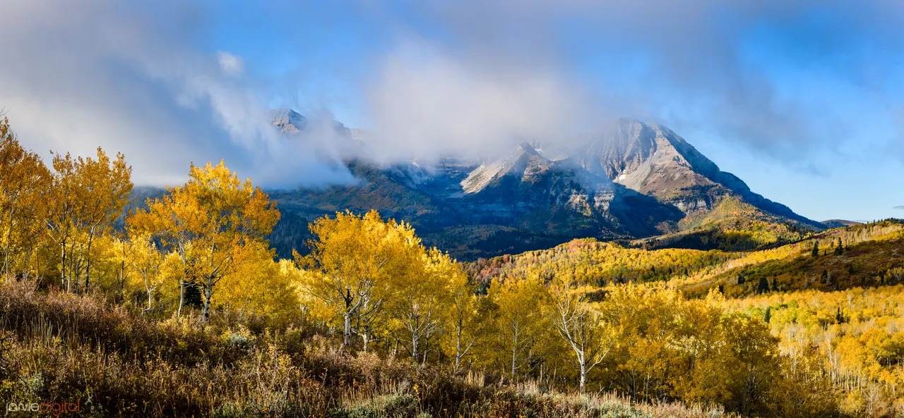 9002_85J0031-Pano.jpg