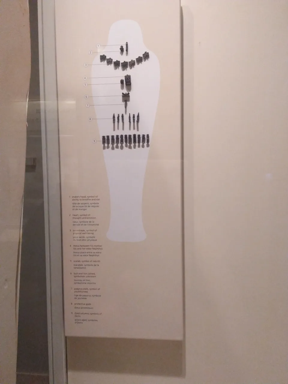 IMG20191116155509.jpg
