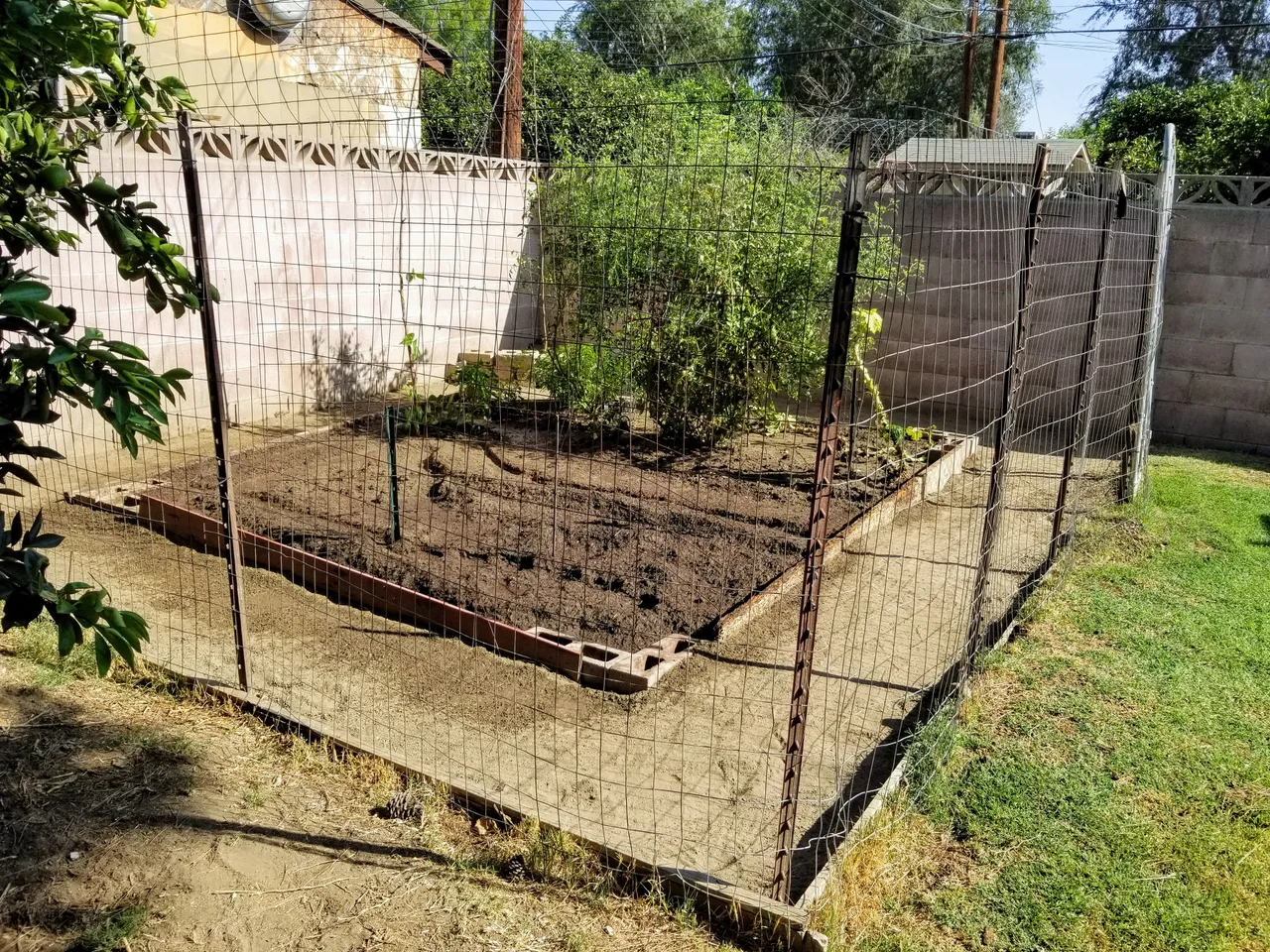 20180827_161009~2.jpg