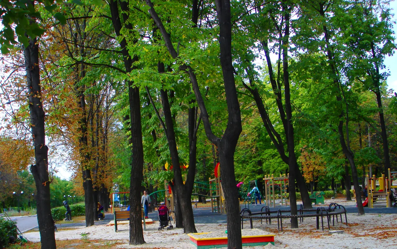 DSC01755-22222222.jpg