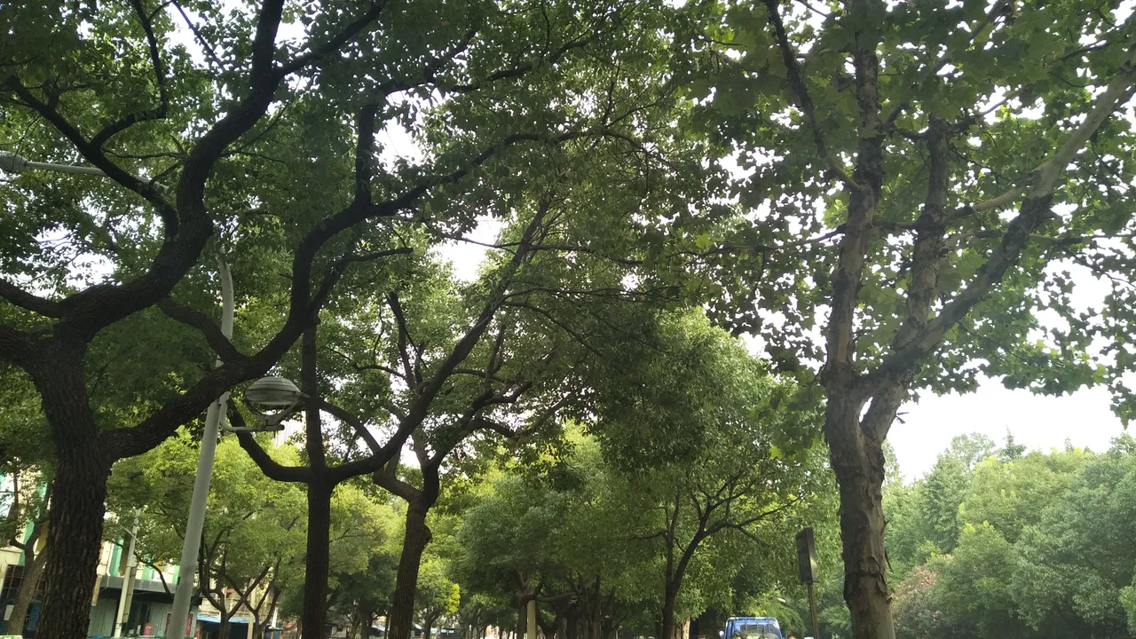 IMG20180703174708.jpg
