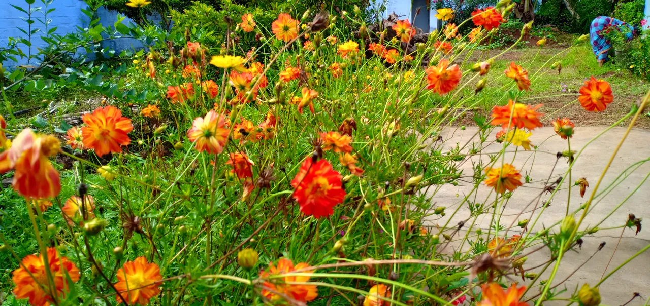 IMG20180604092938.jpg