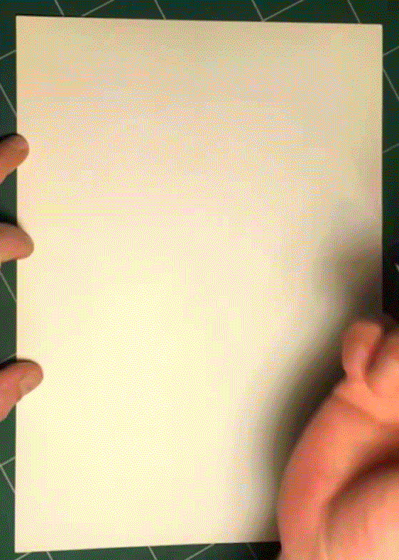bidesign_mrx_proc.gif