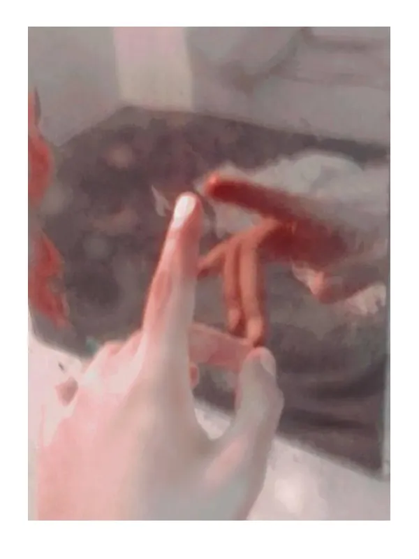 Nose nome acuerdo.png